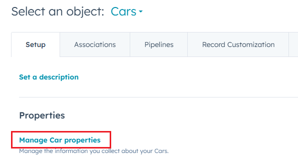 Custom object manage properties option